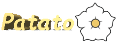 patato company