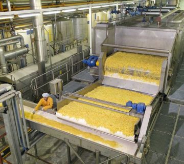  تولید سیب خلال نیمه آماده و منجمد درجه یک