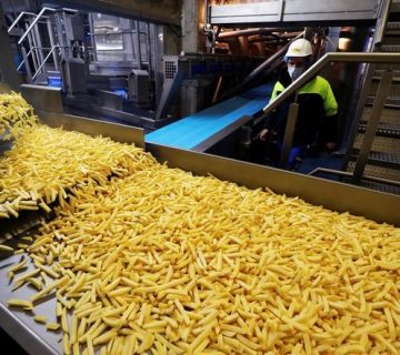 تولید سیب زمینی نیمه آماده منجمد: کیفیت برتر، طعمی تازه